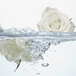 Odświeżający płyn do higieny intymnej Feminelle z wodą różaną 300 ml
