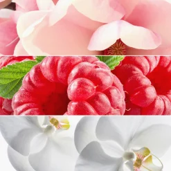 Perfumy All or Nothing 50 ml