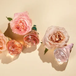 Woda perfumowana Volare Tender 50 ml