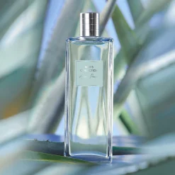 Woda toaletowa Men's Collection Agave Power 100 ml