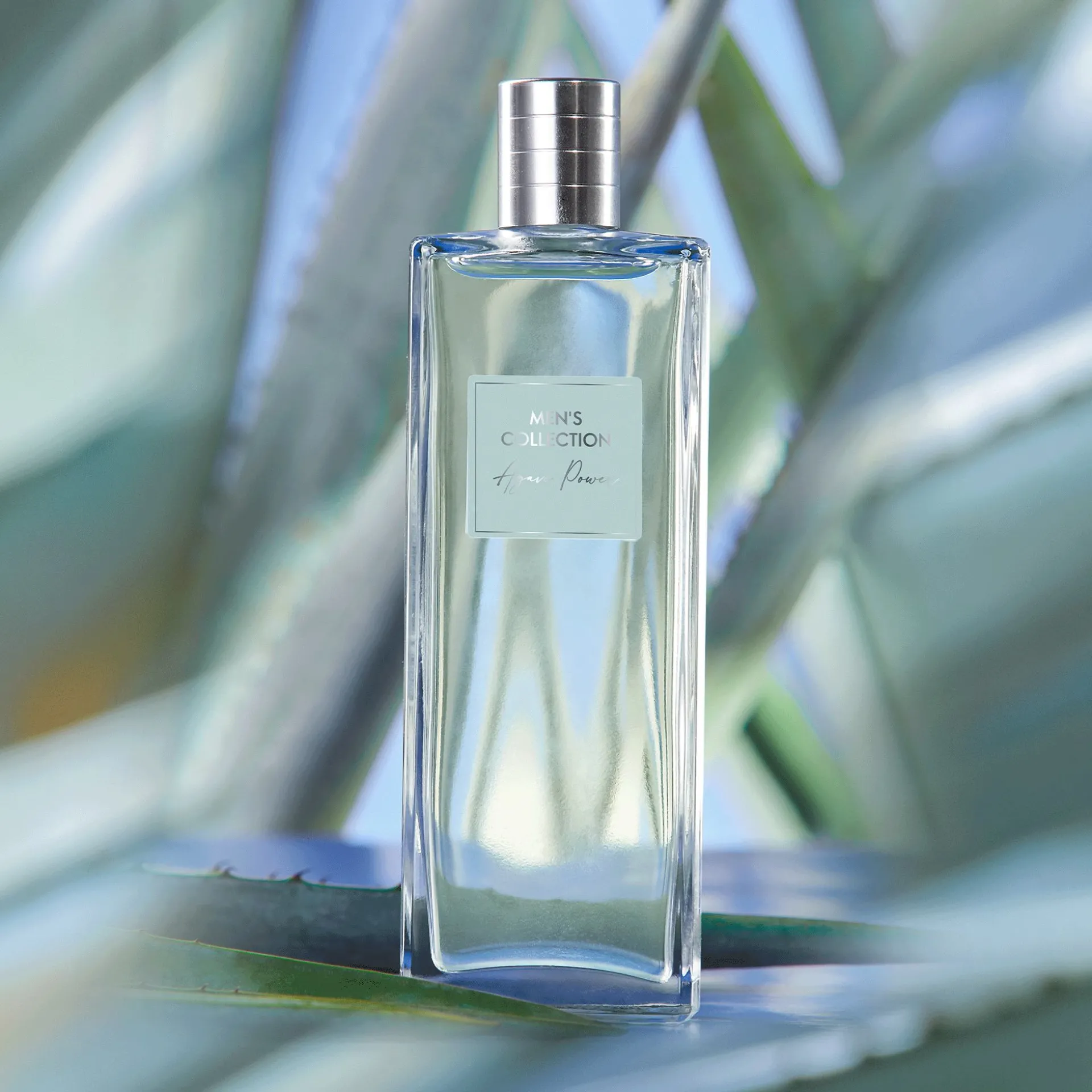 Woda toaletowa Men's Collection Agave Power 100 ml