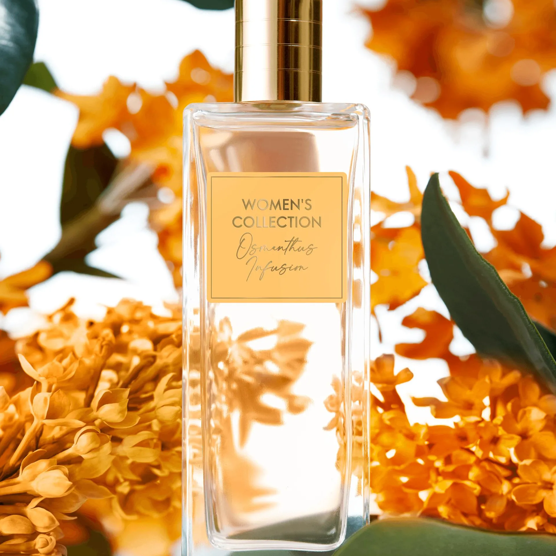 Woda toaletowa Women's Collection Osmanthus Infusion 50 ml
